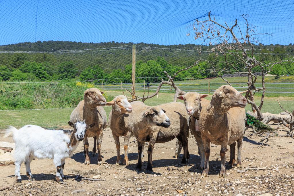 Lou Mas Li Pitchoun "Le Luberon " Villa Gordes Bagian luar foto