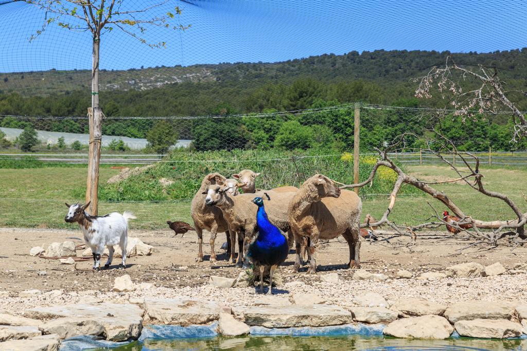 Lou Mas Li Pitchoun "Le Luberon " Villa Gordes Bagian luar foto