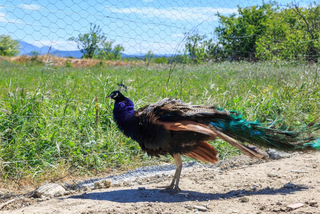 Lou Mas Li Pitchoun "Le Luberon " Villa Gordes Bagian luar foto